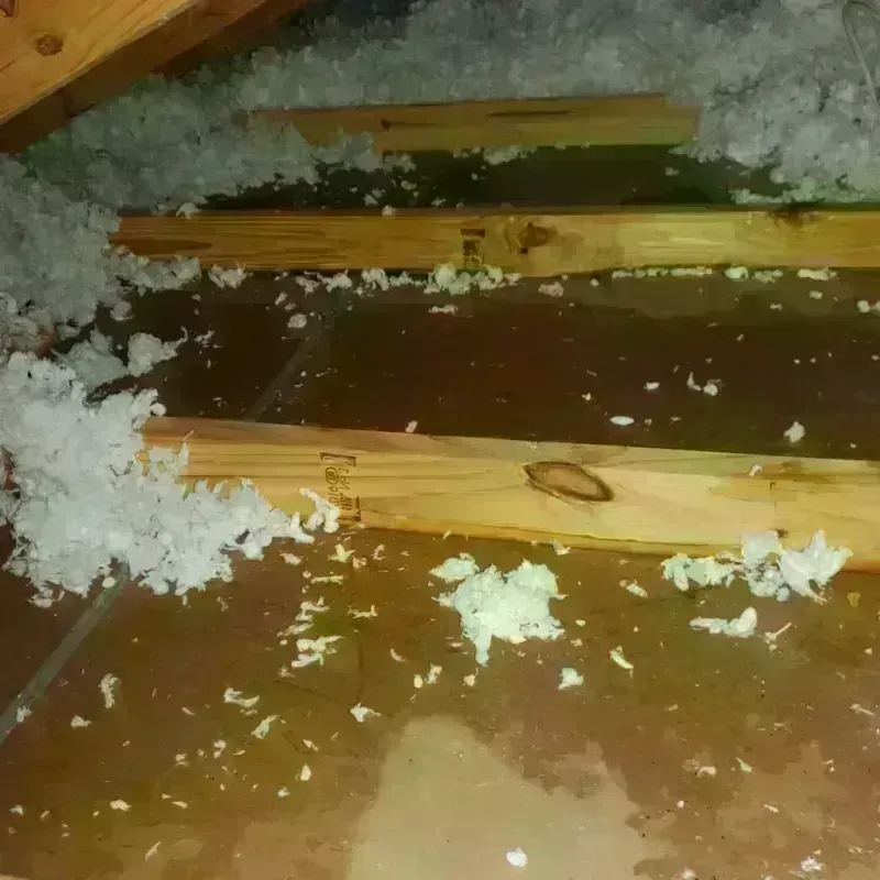 Attic Water Damage in Millbury, OH